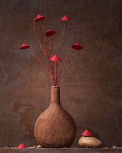 Salon Honorable Mention